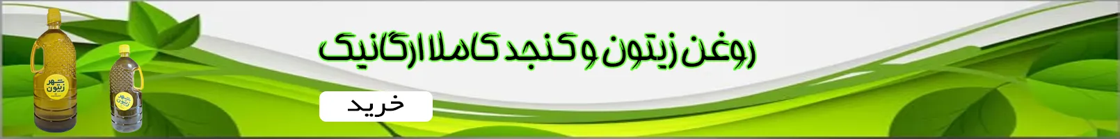 روغن زیتون شهر زیتون